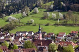 Waldkirch - Frühling-25_4_2013-Jürgen-Gocke-(39)