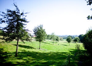 Lüdinghausen - Wolfsschlucht-(c)teamfoto_com