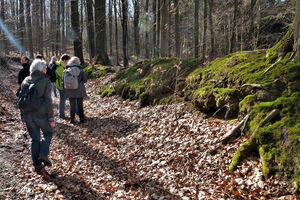 Bad Essen lädt ein! Waldspaziergängen immer samstags - bis einschließlich Oktober.