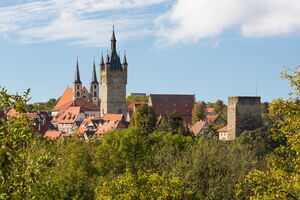 Bad Wimpfen - Kaiserpfalz-13pg