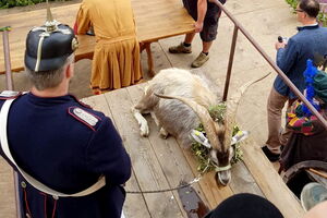 Gelebtes Brauchtum: Die 616. traditionelle Deidesheimer Geißbockversteigerung