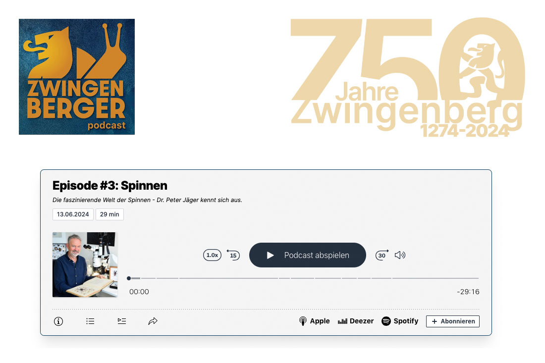 ZWINGENBERGER podcast - die Vielfalt der Stadt hörbar machen